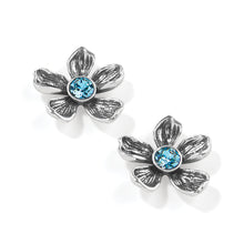 Load image into Gallery viewer, Everbloom Jardin Post Earrings
