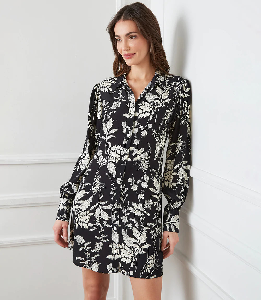 Blouson Sleeve Shirtdress