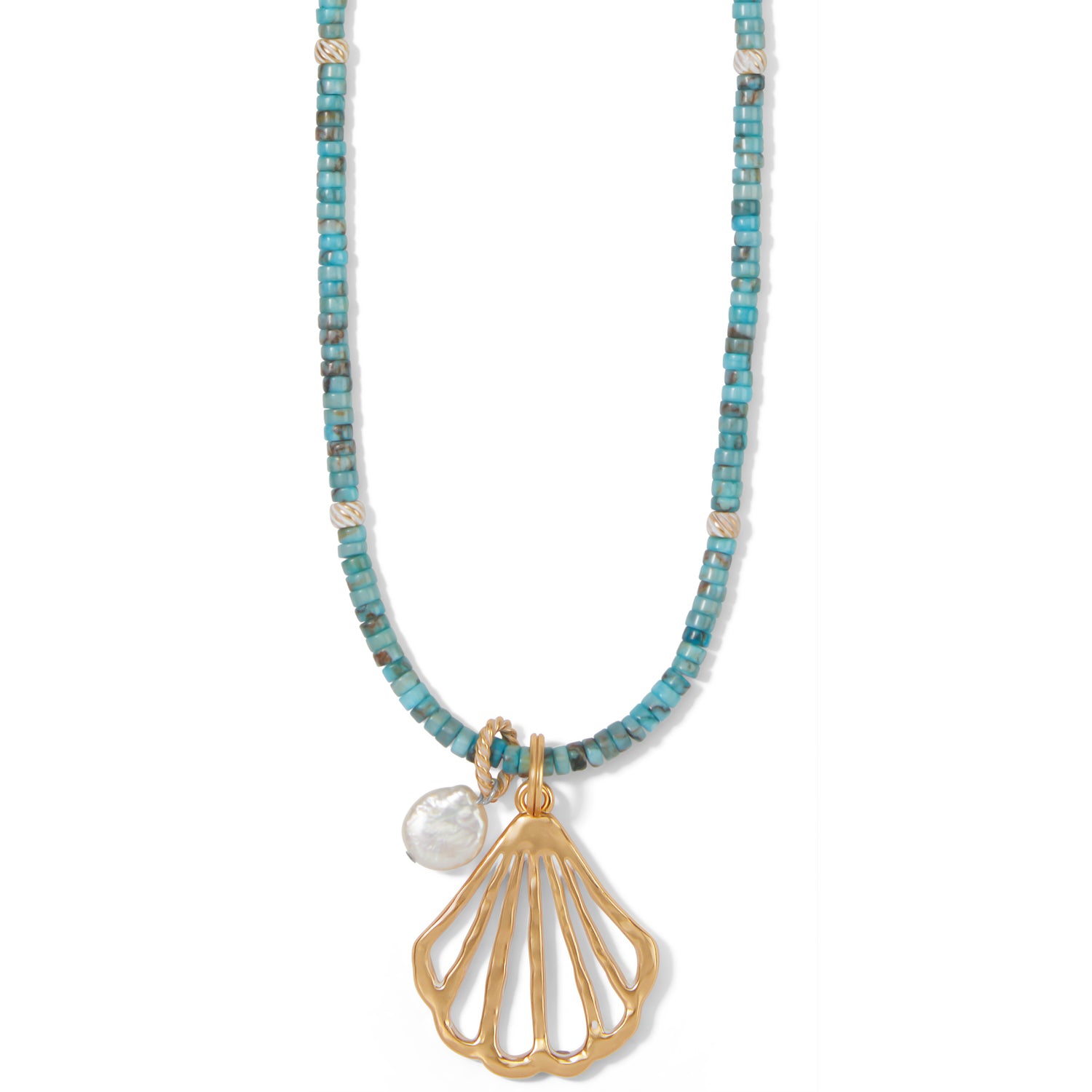 Popular Shells of Calypso Necklace